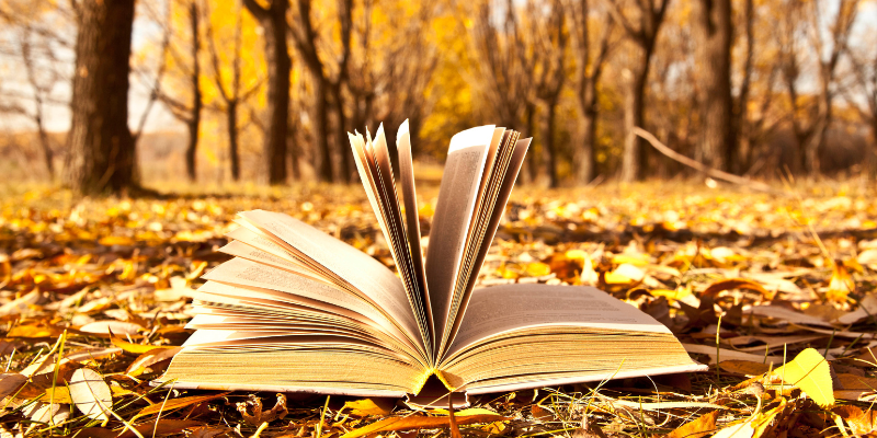 November Featured Authors